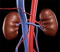 ABO-несумісна трансплантація нирки:  історичні аспекти та актуальні шляхи вирішення проблеми (огляд літератури)