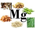 Neurotropic effects of magnesium in the treatment of the pathology of the nervous system