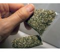 Synthetic Cannabinoids Spice: Issues of Clinical Diagnostics and Emergency Medical Care