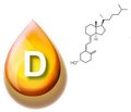 Assessing vitamin D status: what/when to measure and how to interpret the result