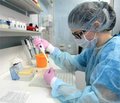 МОЗ посилює потужності вітчизняних лабораторій для збільшення кількості тестувань на добу