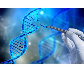 CRISPR-Cas: a brief overview