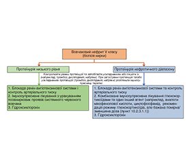 Клінічна настанова KDIGO 2024 щодо практики лікування вовчакового нефриту