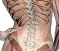 Bone Structure Assessed by TBS Measured by DXA Reflects Trabecular Microarchitecture Analyzed by µCt in Bone Biopsies of Females with Fragility Fractures Clinical proof of a concept