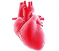 Современный выбор и оптимальное применение органических нитратов в терапии стабильной ишемической болезни сердца