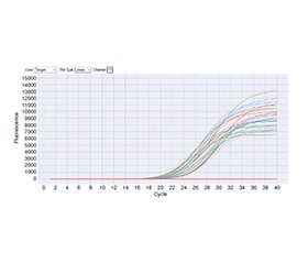 Експресія та поліморфізми гена IRS1, пов’язані з ризиком розвитку цукрового діабету 2-го типу в іракських пацієнтів