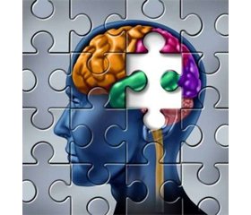 Нейропластичность и постинсультные когнитивные нарушения (терапевтические возможности)