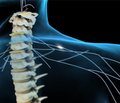 Эффективность комплексной терапии нарушения церебральной гемодинамики в вертебробазилярной системе артерий при миофасциальной дисфункции шейно-плечевой локализации