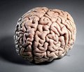 Применение экстракта гинкго билобы  в лечении пациентов с хроническими сосудистыми заболеваниями головного мозга